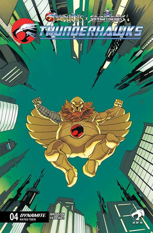 THUNDERCATS X SILVERHAWKS THUNDERHAWKS #4 CVR B DECLAN SHALVEY VAR 07/22/2026