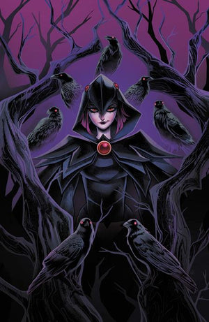 DCS QUOTH THE RAVEN WHATEVER #1 (ONE SHOT) CVR A SWEENEY BOO 09/30/2026