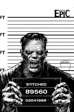 SOMETHING EPIC #15 CVR C SZYMON KUDRANSKI RAW ART VAR 09/16/2026