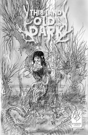 THIS LAND IS OLD AND DARK #2 (OF 3) CVR C MICHAEL KALUTA VAR 10/28/2026