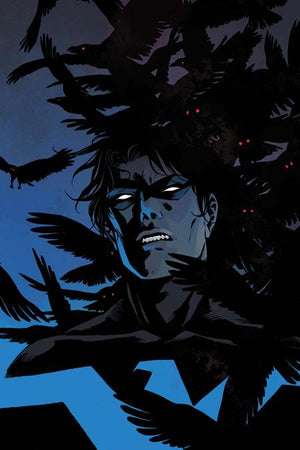 NIGHTWING #144 CVR C BECKY CLOONAN CARD STOCK VAR 11/18/2026