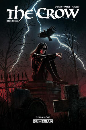CROW FLESH AND BLOOD #3 CVR A EDUARDO SCHAAL (MR) 12/09/2026
