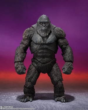 S.H. MONSTERARTS - GODZILLA X KONG 2024 - KONG