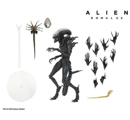 NECA - ALIEN ROMULUS - ULTIMATE SCORCHED XENOMORPH (DEC 2024)