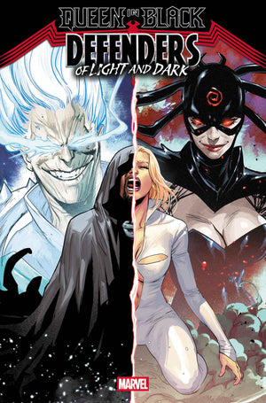 QUEEN IN BLACK: DEFENDERS OF LIGHT AND DARK #2 [QIB] 08/19/2026