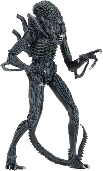 NECA - ALIENS - ULTIMATE WARRIOR ALIEN (BLUE)