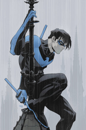 NIGHTWING #119 CVR C GLEB MELNIKOV